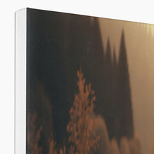 Mazda MX5 Forest Canvas
