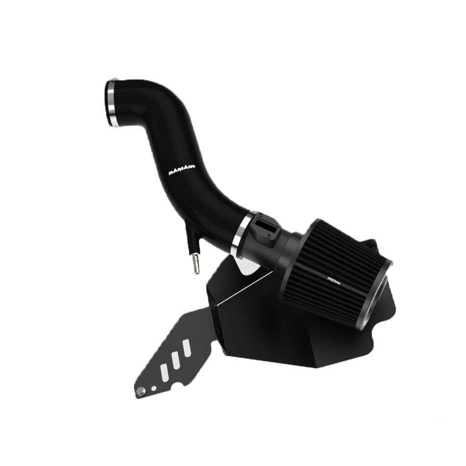 Ramair Ford Fiesta MK7 ST180 PRORAM Induction Kit