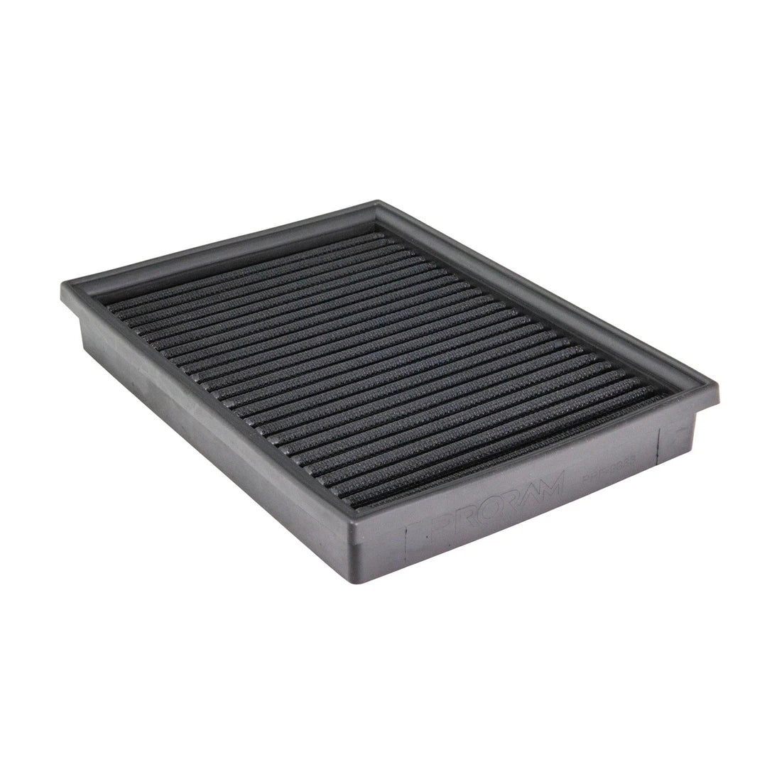 Ramair proram panel air filter