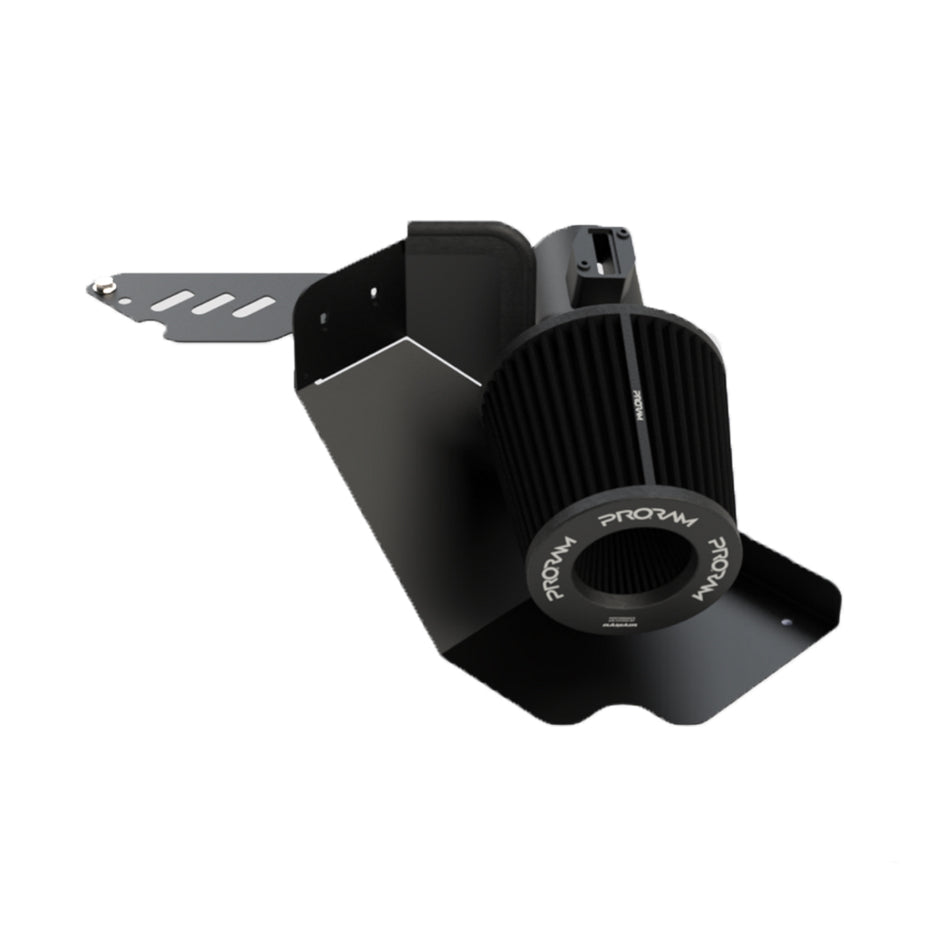 Ramair Ford Fiesta MK7 ST180 PRORAM Induction Kit